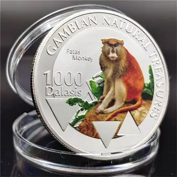 Animais De Moeda Congo Red Sorte Macaco Oceano Dom Moeda Comemorativa De Moeda De Prata Medalha De Artesanato Colecionáveis
