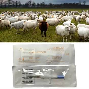 1 Pack de animal de Estimação IDENTIFICAÇÃO de Fichas de Implante Kit 2.1x12mm Animal Microchip ISO11784/785 FDX-B Fichas de Veterinária de Gestão de Suprimentos W3JD