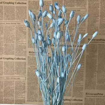18g/Length15-35CM,Secos Fengling Grama,Natural de Sino Flor Campanula Buquê, Flores Secas Eternelle Bluebell DIY Para Decoração de Casa