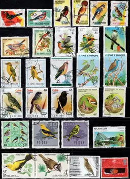 100 PCS Diferentes de Aves Selos Da Palavra,Não Repetir,Animal Selos,Bom estado Coleção,Usado com Pós Marca