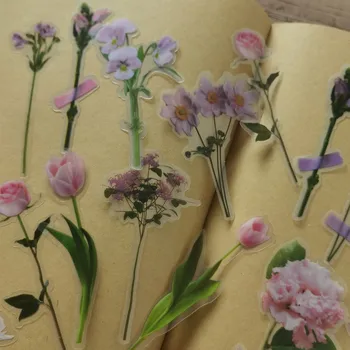 Fresco Natural Daisy Adesivos Transparente Material do animal de ESTIMAÇÃO Flores Folhas de Plantas Deco Adesivo de Lixo Diário INS Álbum de Scrapbooking