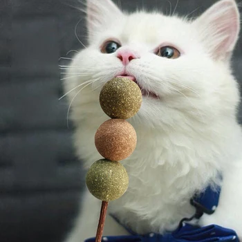 Natural Catnip Pet Gato Molar de pasta de dente Vara Catnip Tratar a Bola Silvervine Gato Lanches Varas de Estimação Limpeza de Dentes para Gatos